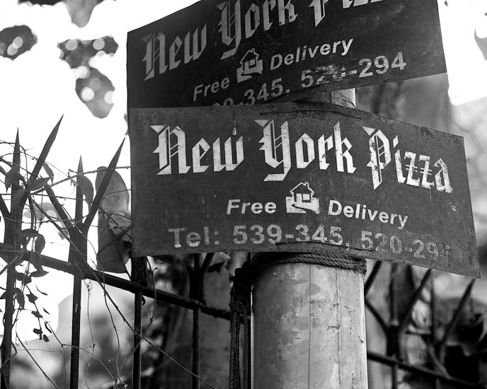 new york pizza