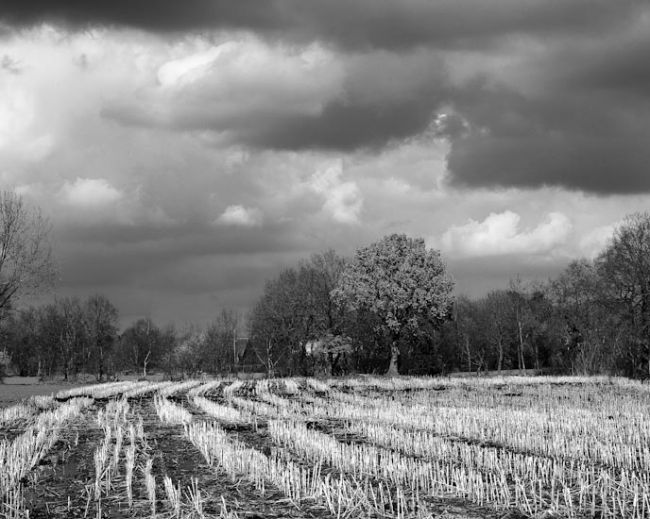 kayhausen stubble field
