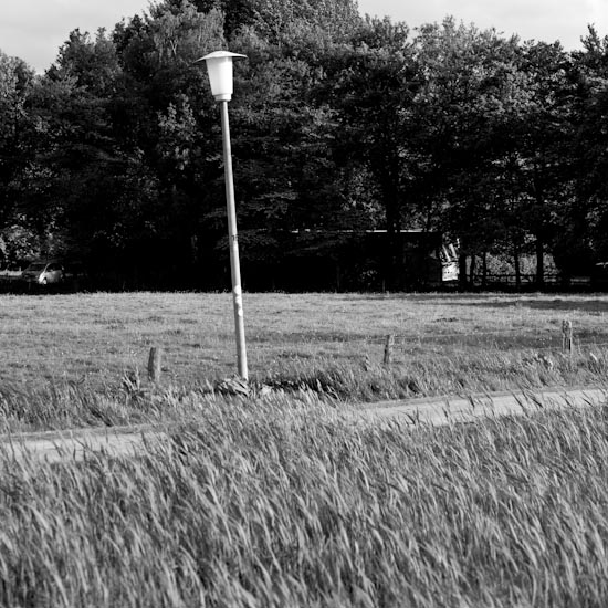 parklamp