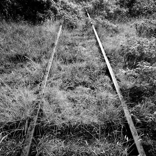 forgotten tracks