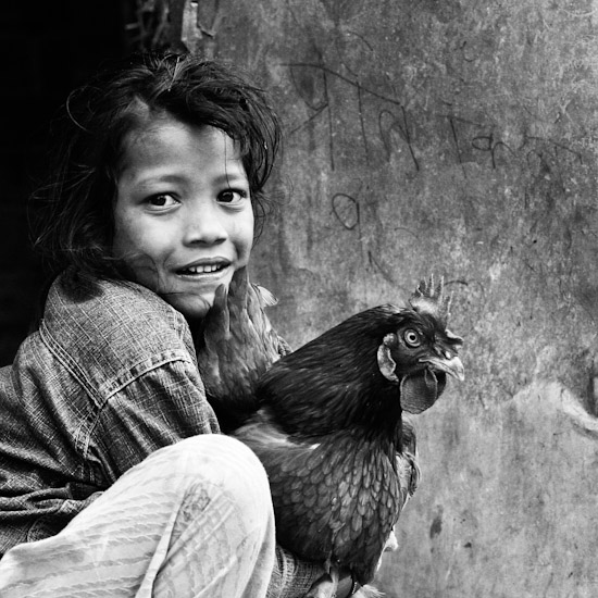 kid with chicken, sankhu