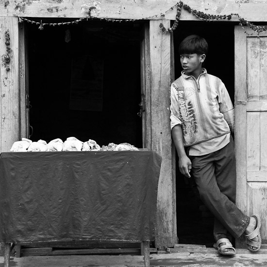 kid with chicken, sankhu