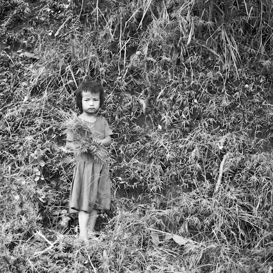 kid from mahendra highway