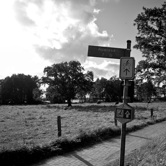 this way