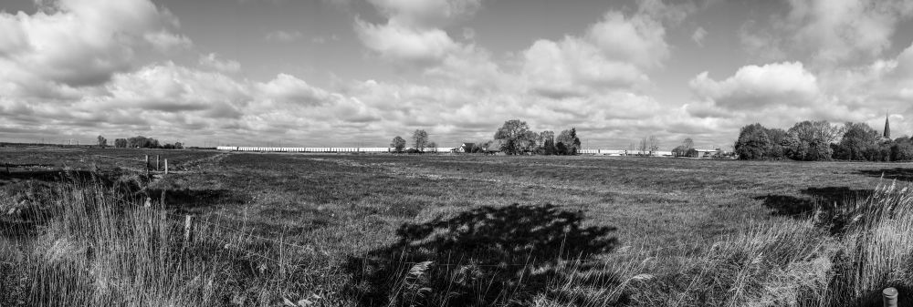 country side train