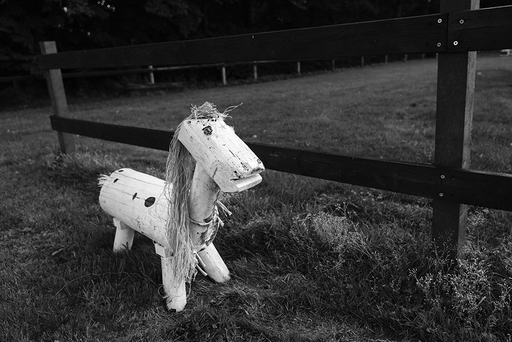 wooden horse