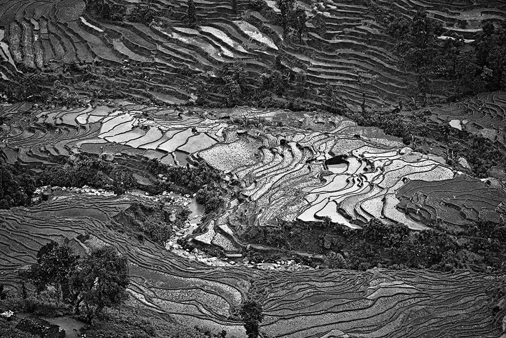 paddy fields trishuli